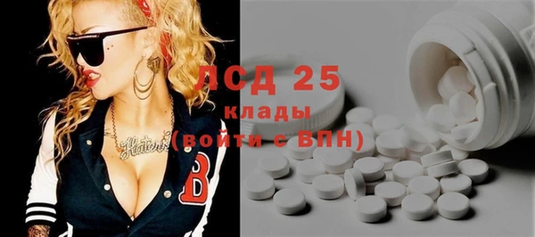 прущие грибы Алексин