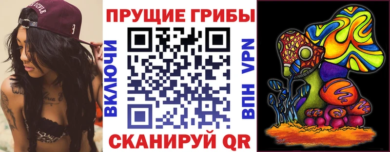 Псилоцибиновые грибы ЛСД закладки Оса